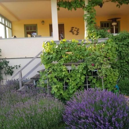 Ferienhaus Schiller Waren  Extérieur photo