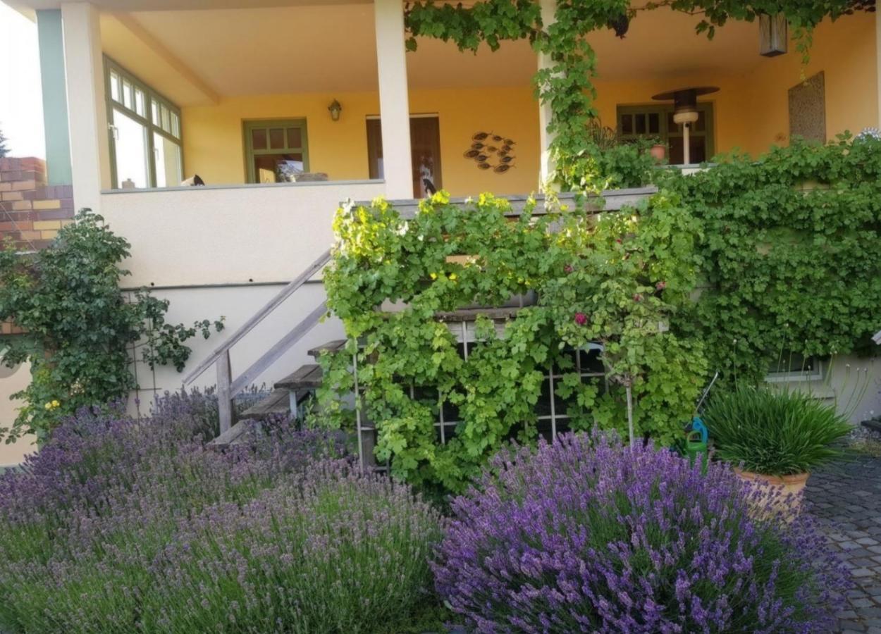 Ferienhaus Schiller Waren  Extérieur photo
